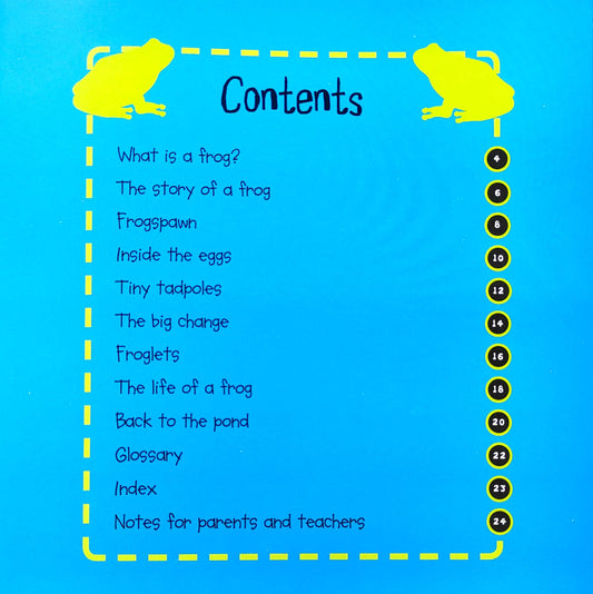 Life Cycles Combo Set 6 (2 Books)