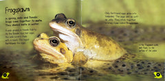 Life Cycles Combo Set 6 (2 Books)