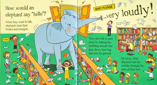 Would an Elephant enjoy the Seaside?