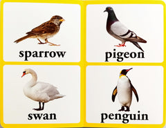 Birds (Large Font)