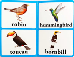 Birds (Large Font)