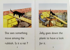 Learn to Read Phonics Combo (5 Books)