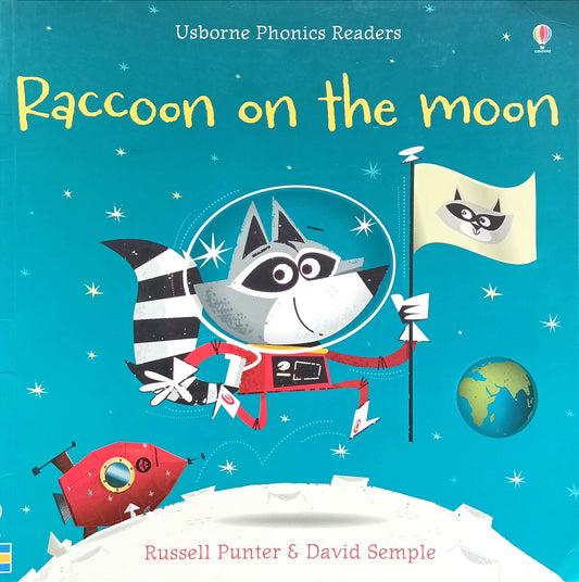 Racoon on the Moon