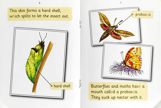 Jolly Phonics Combo Set (6 Books )