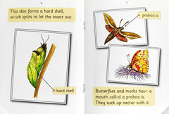 Jolly Phonics Combo Set (6 Books )