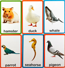 My First Flash Cards Animals and Birds (30 Cards)