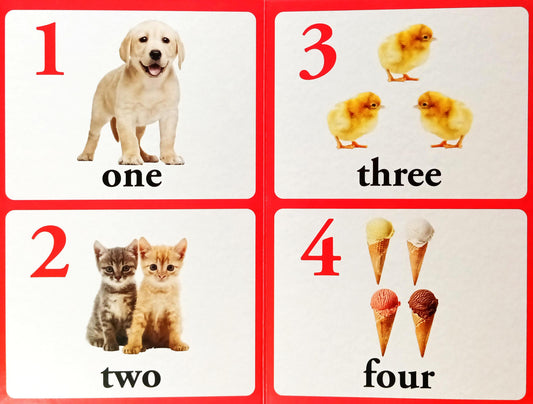 Early Learning Library Box (5 Books)