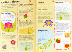 Usborne Junior illustreted Science Dictionary