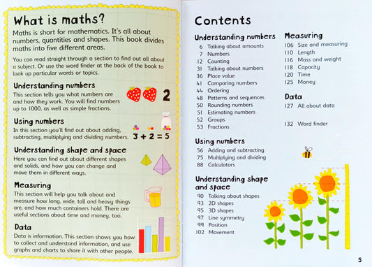 Usborne First illustreted Maths Dictionary