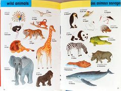 English and French My Fisrt 1000 Words