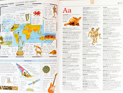 The Usborne Illustrated Dictionary