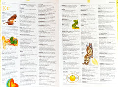 The Usborne Illustrated Dictionary