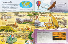 The Usborne Internet-Linked Children's Encyclopedia