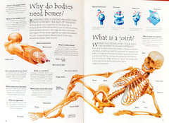 Question and Answer Human Body
