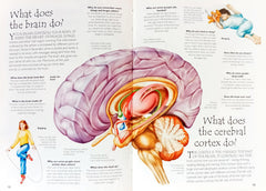 Question and Answer Human Body