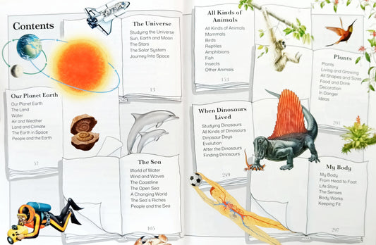 Kingfisher Child's World Encyclopedia