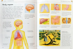 Kingfisher Child's World Encyclopedia