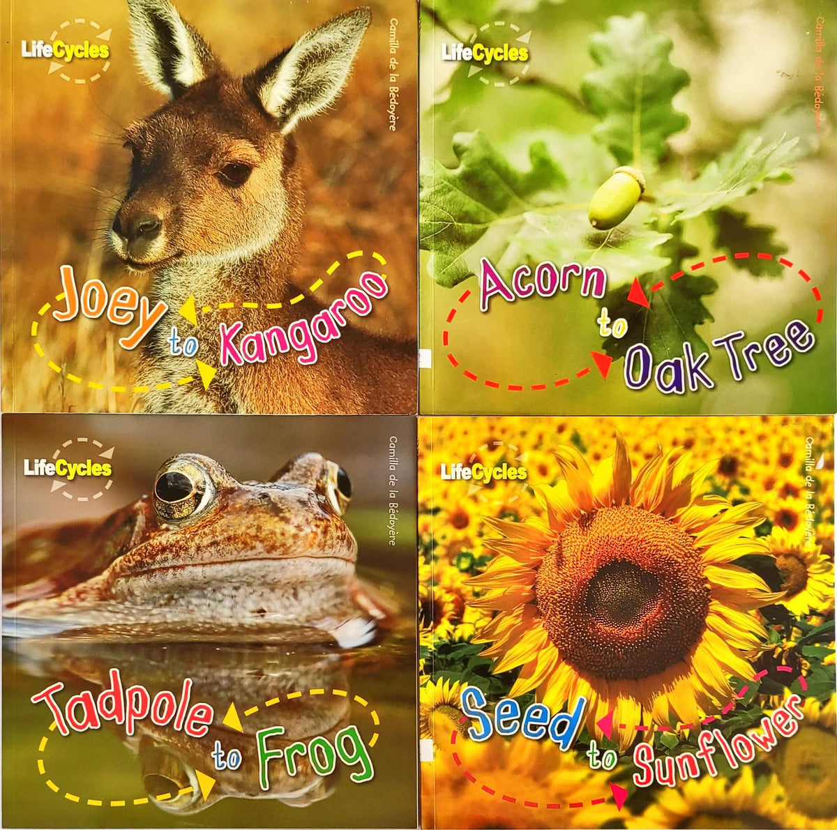 Life Cycles Combo Set 2 (4 Books)