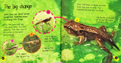 Life Cycles Combo Set 2 (4 Books)