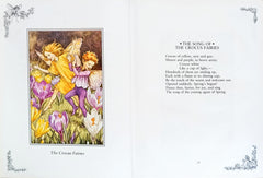 A Flower Fairies Treasury