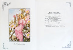 A Flower Fairies Treasury