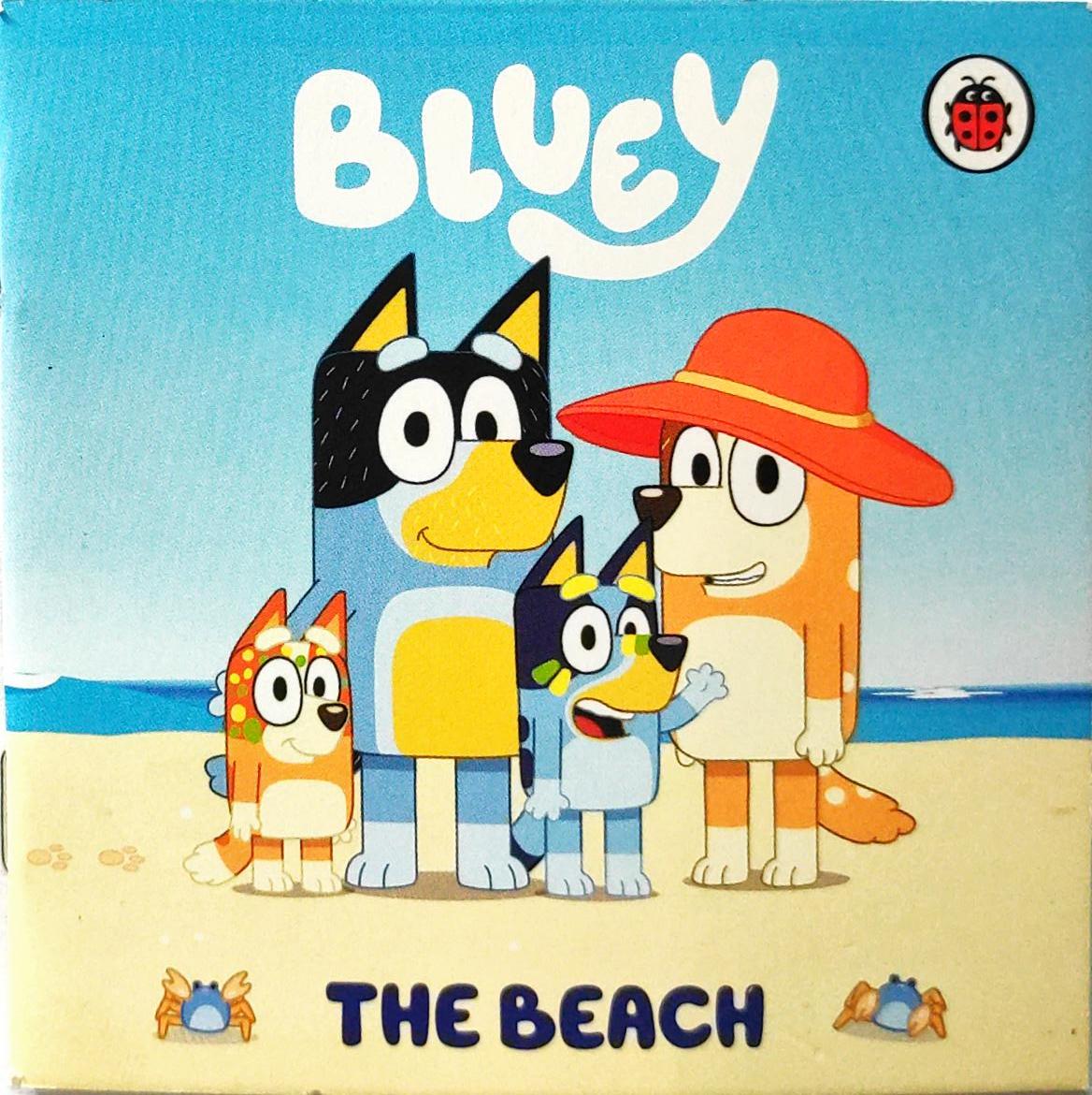 The Beach (Bluey)