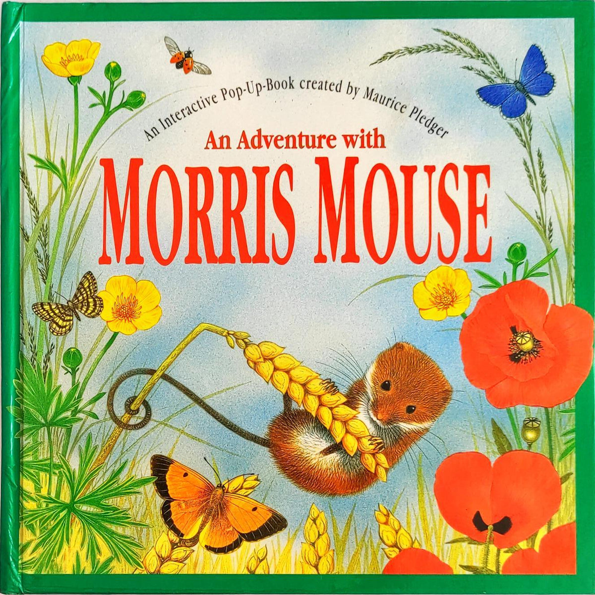 An Adventure with Morris Mouse (Popup Book)