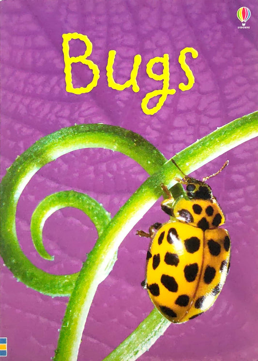 Usborne Bugs