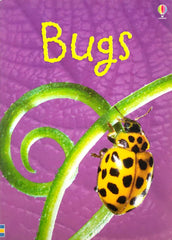 Usborne Bugs