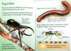 Usborne Bugs