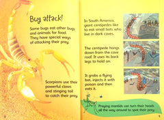 Usborne Bugs