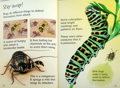 Usborne Bugs
