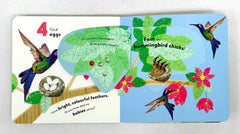 Counting 123 (Flap Book)