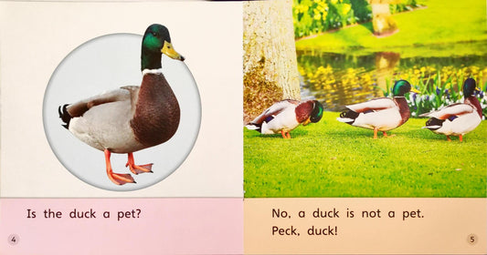 Bug Phonics Combo 3 (3 Books)