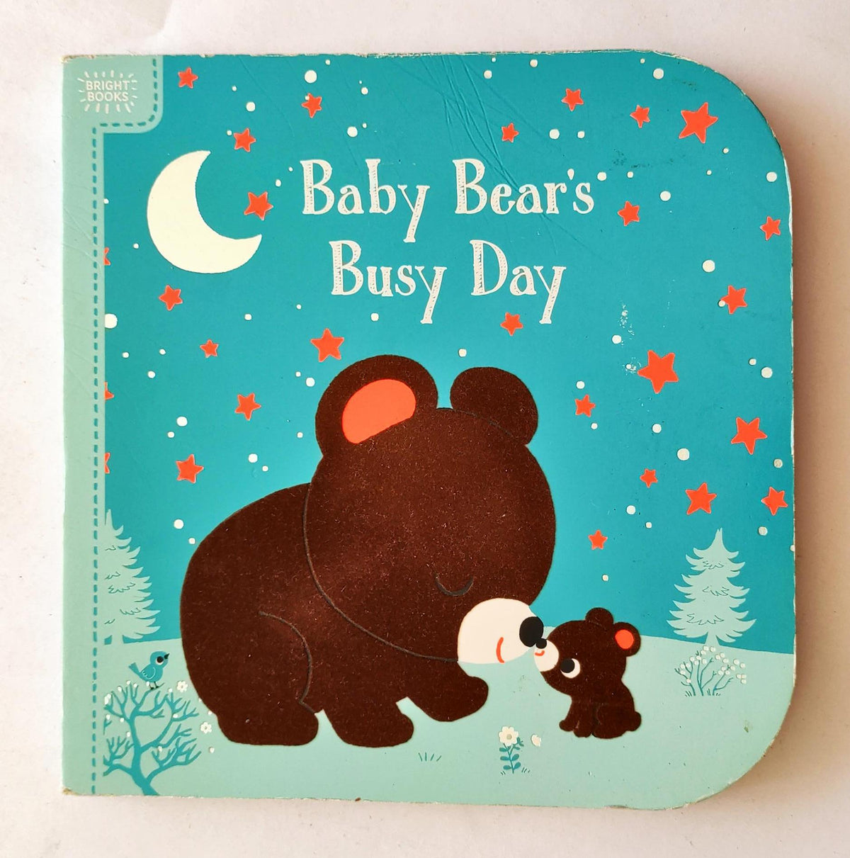 Baby Bears Busy Day
