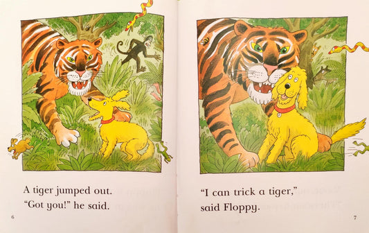 Read at home Level 2 Set 4 (2 Books)