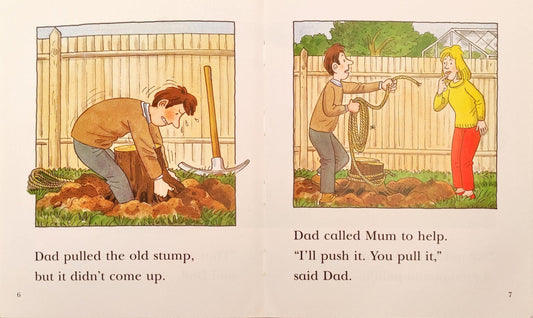 Read at Home Level 3 Set 5 (2 Books)