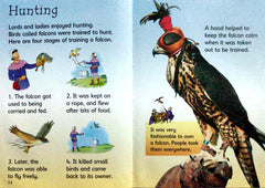 Usborne Castles