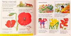 What makes a Flower Grow? (Usborne)