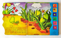 Insects (Sound Book)