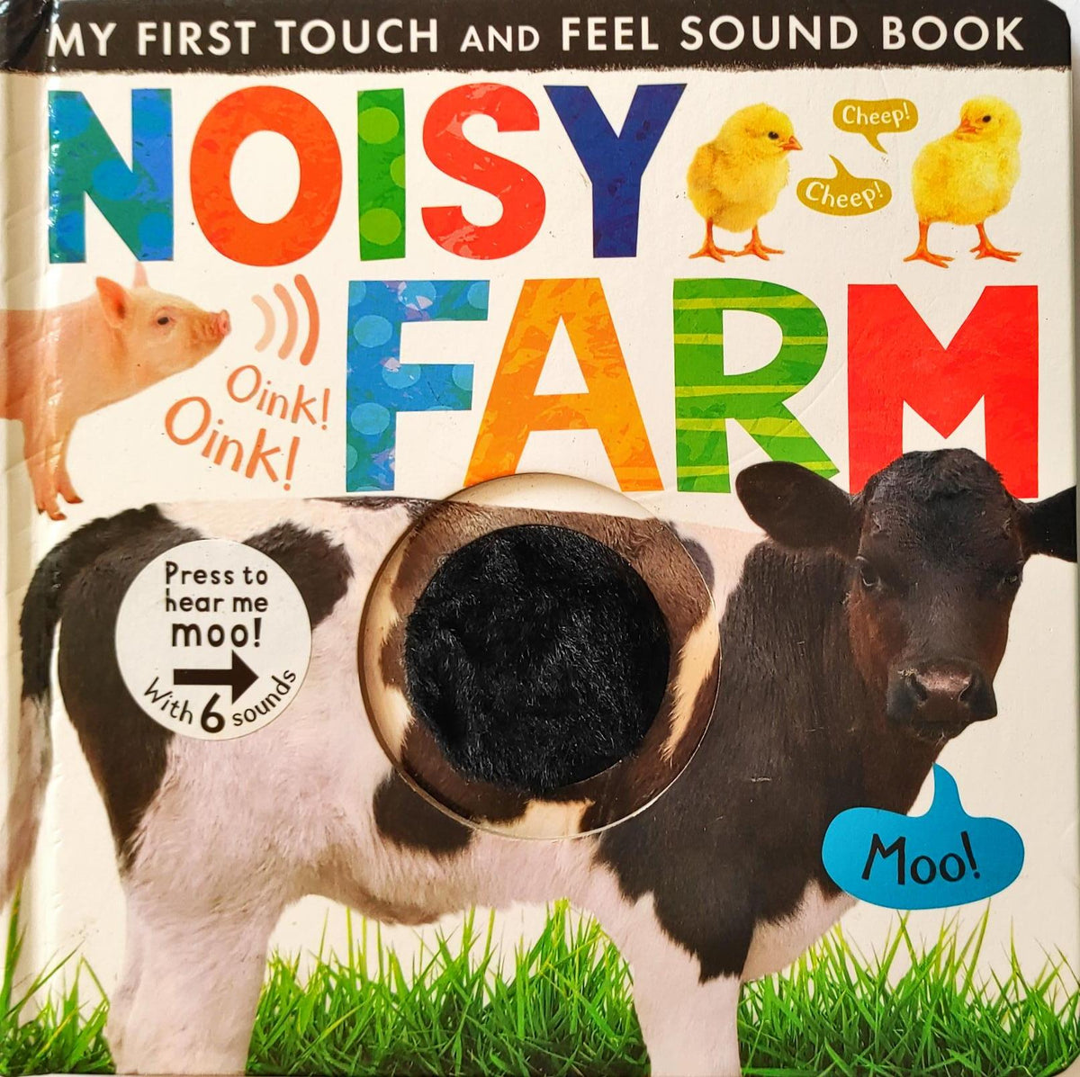 Noisy Farm (Touch and Feel/Sound Book)