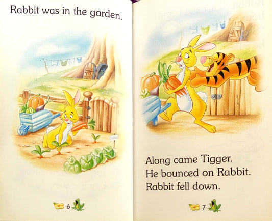 Disney Winnie the Pooh Lost in the Wood