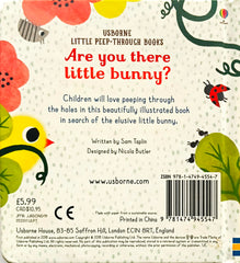 Usborne Are you there Little Bunny? (Peep Through Book)