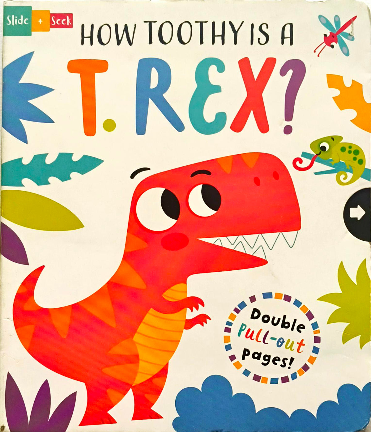 How Toothy is a T Rex? (Pull Out Pages)