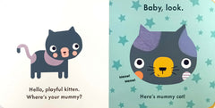 Baby Touch Hello Mummy (Touch and Feel)