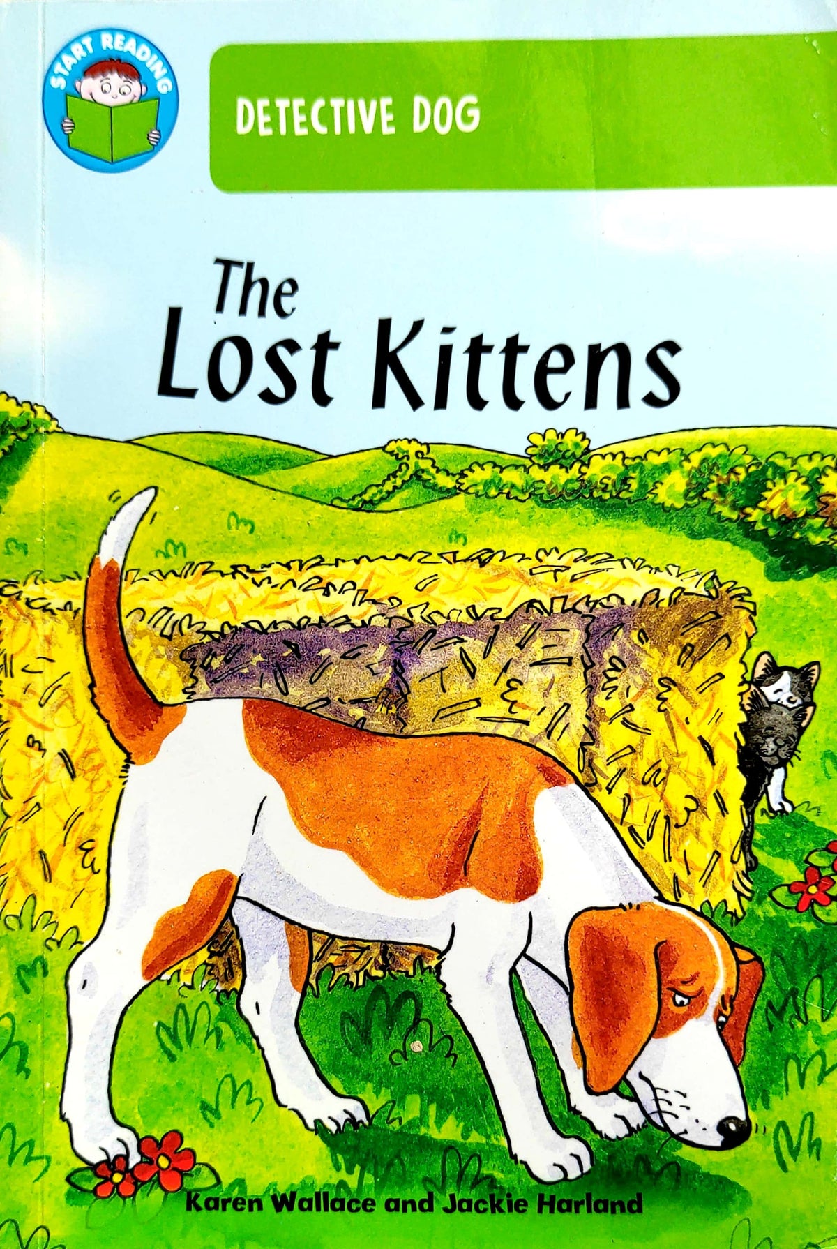 The Lost Kittens (I am Reading)