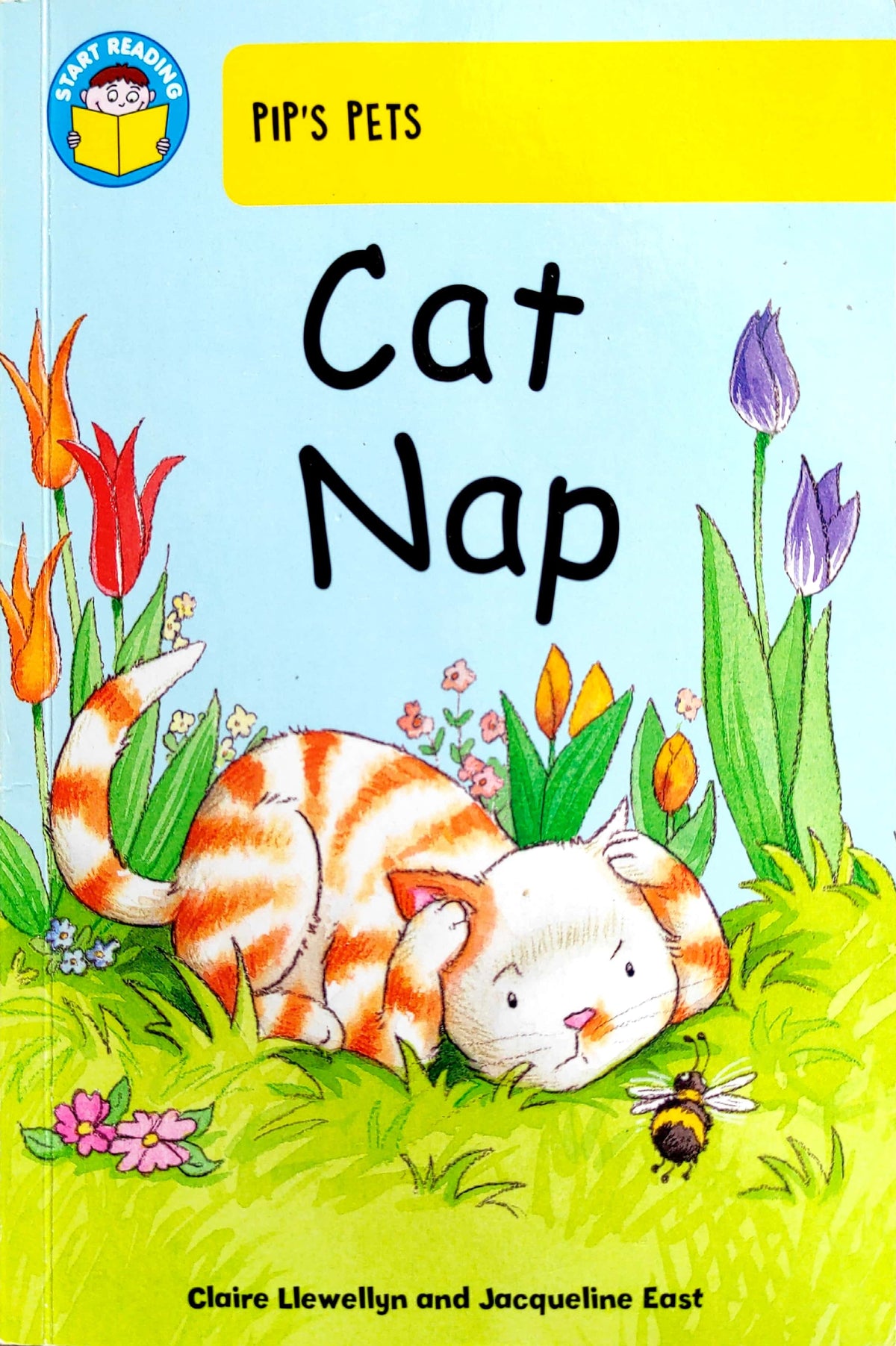 Cat Nap (I am Reading)