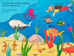 My Ocean Creatures (Sparkle book)