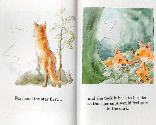 The Star That Fell