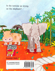 The Clever Tortoise